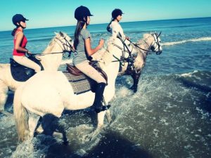 colonie equitation ado