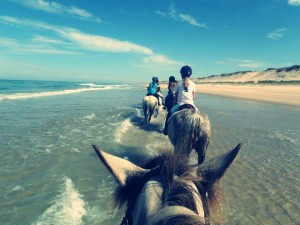 Equitation ados 1