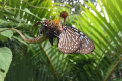 thumb_IMG_9118_1024