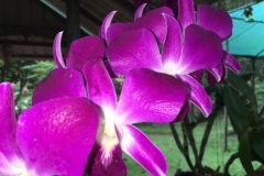 thumb_IMG_9119_1024