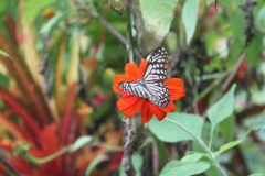 thumb_IMG_9408_1024