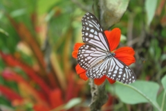 thumb_IMG_9410_1024