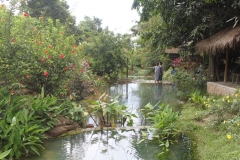 thumb_IMG_9418_1024