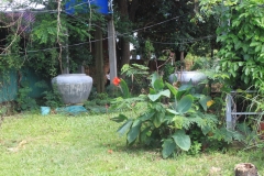 thumb_IMG_9439_1024