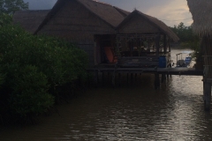 thumb_IMG_9501_1024