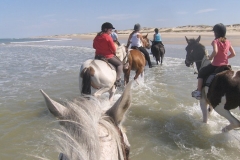 L'équitation sur la plage, une séance inoubliable