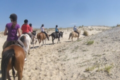 Arrivée sur la plage, à cheval