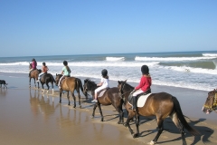 l'équitation sur la plage, un moment inoubliable