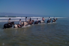 Equitation sur la plage, un souvenir inoubliable