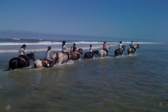 Equitation sur la plage, un souvenir inoubliable