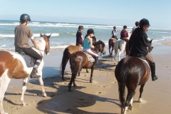 L'équitation sur la plage