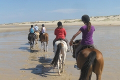 Equitation sur la plage