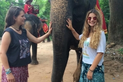 L’éléphant est un animal sacré au Cambodge