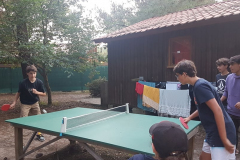 225063036_558471385169008_1485507941393816884_n