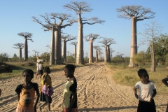 morondava