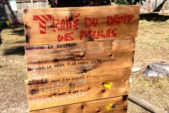 Droit-des-poules