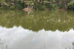 IMG-20240812-WA0077
