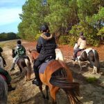 Séance d'équitation en forêt