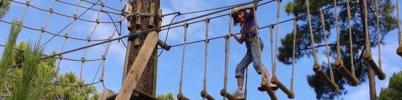 les enfants à l'accrobranche