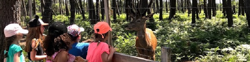 les enfants à la ferme pédagogique